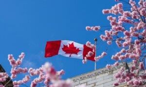 Best Locations in Canada to See Cherry Blossoms